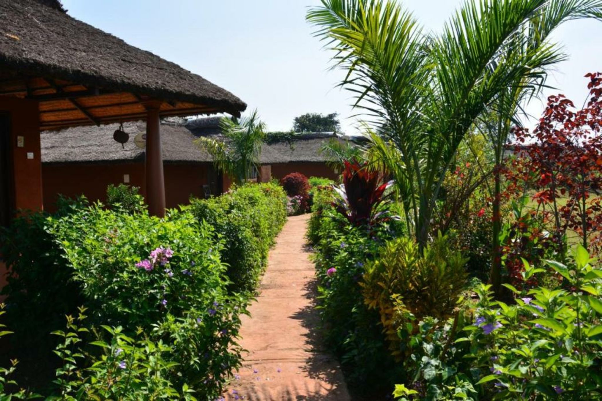 Red Earth Kabini