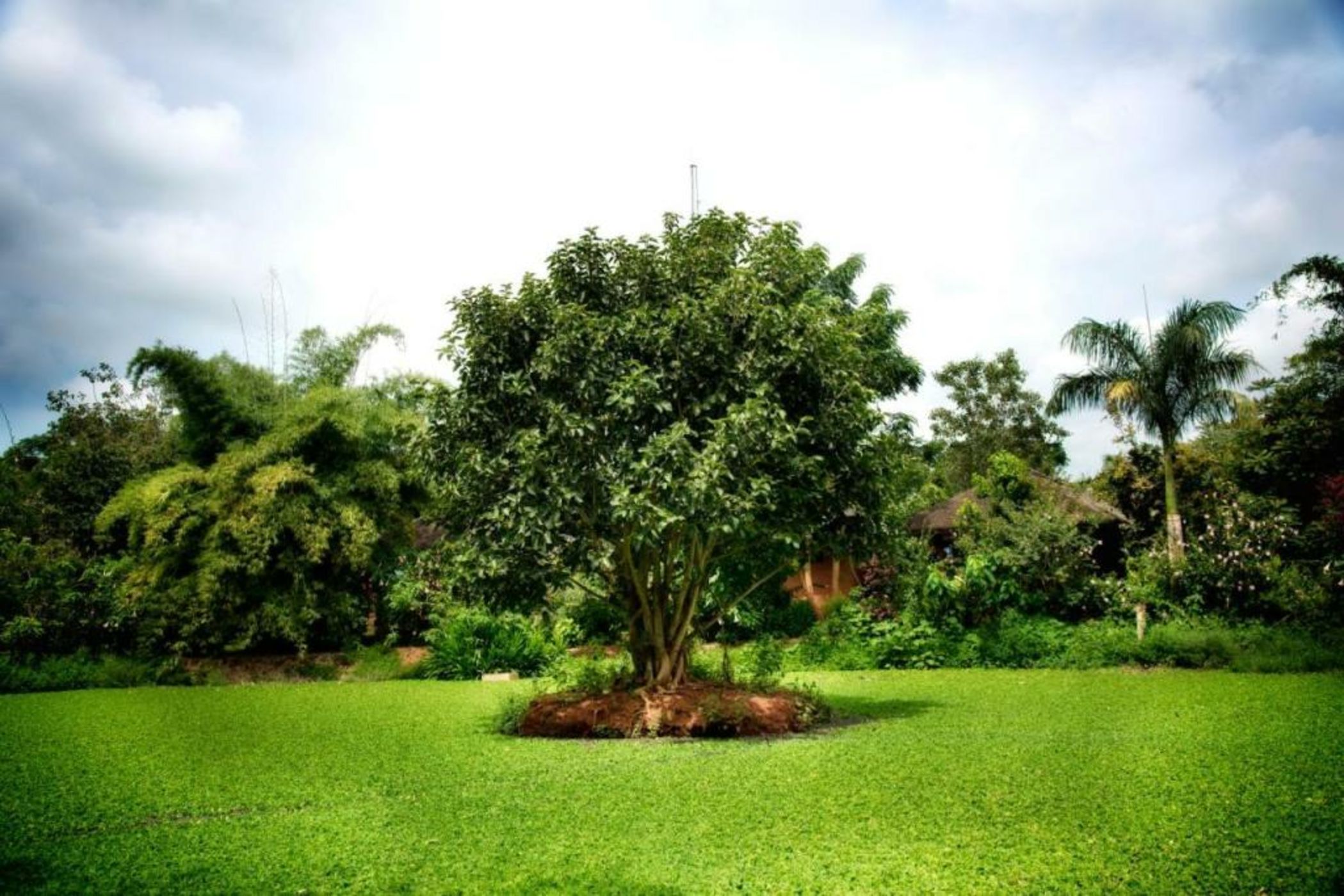 Red Earth Kabini