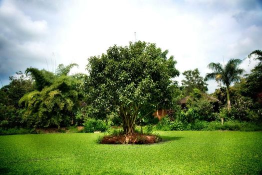 Red Earth Kabini