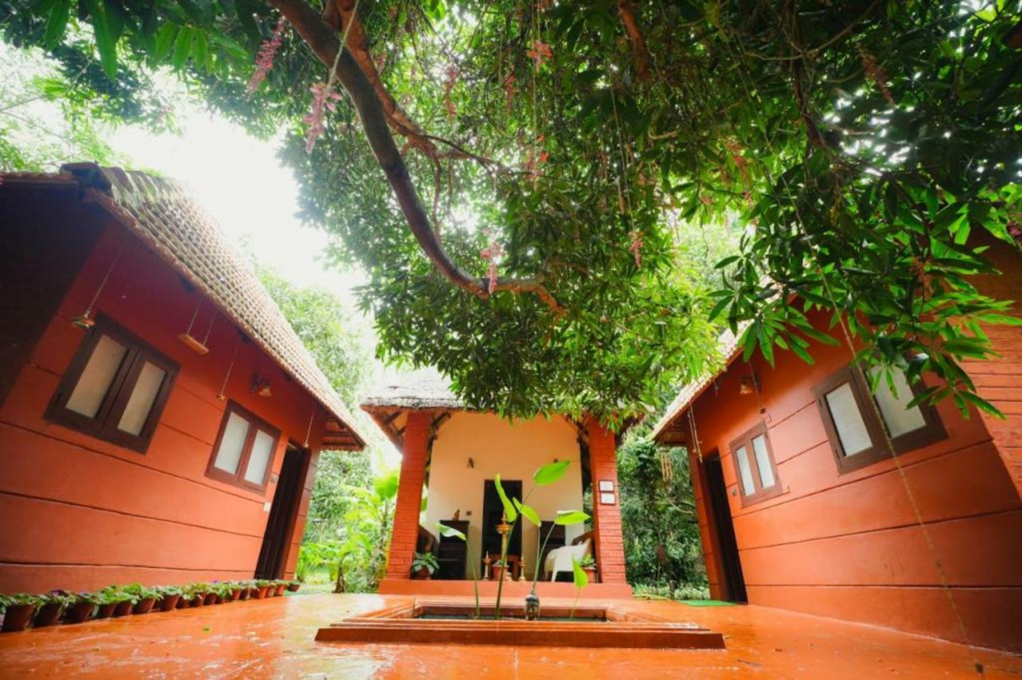 Red Earth Kabini