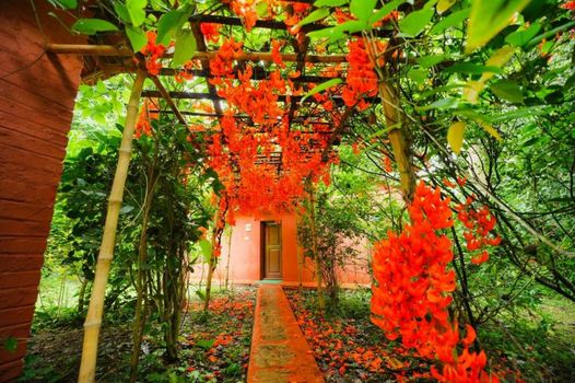 Red Earth Kabini