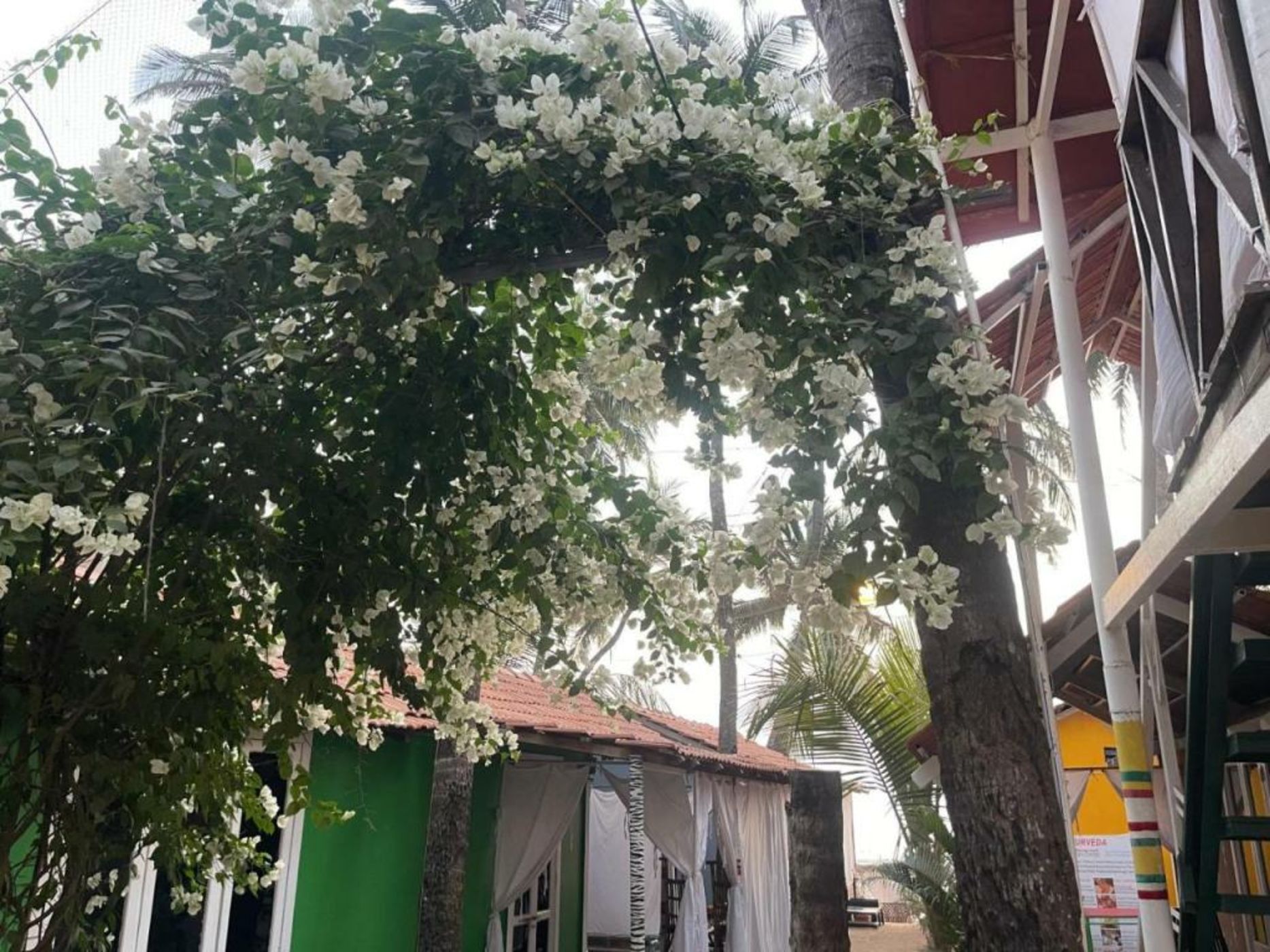 Art Resort Goa