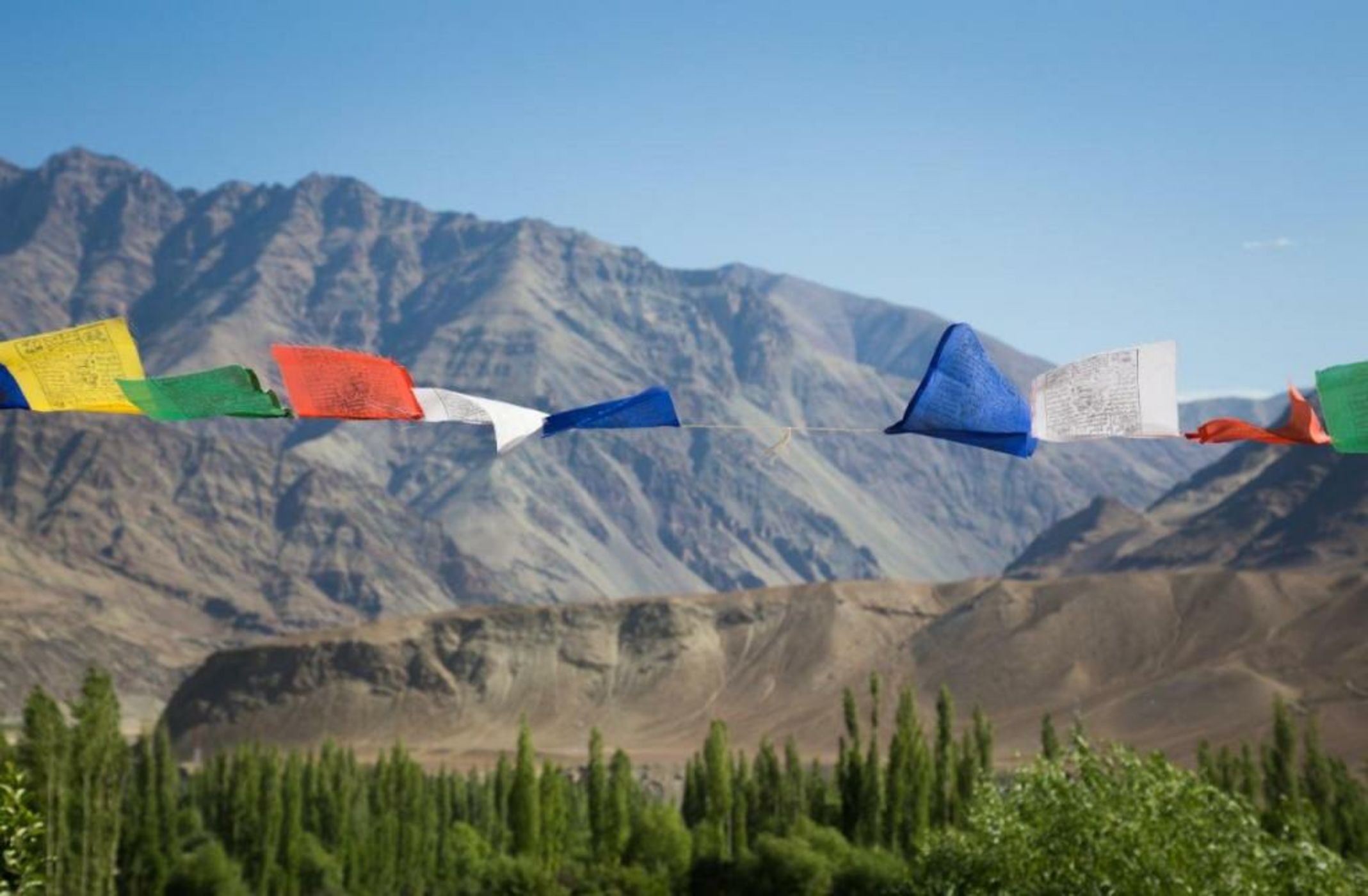 Nimmu House Ladakh
