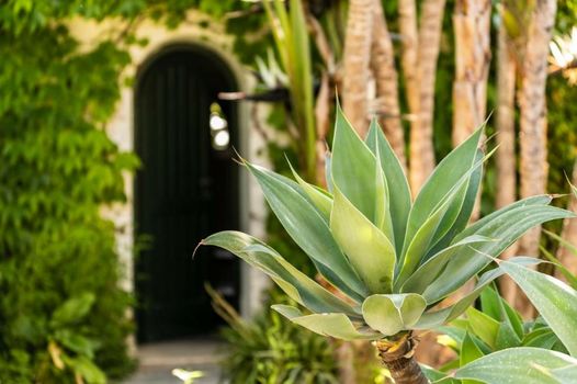 Botania Relais & Spa - The Leading Hotels of the World