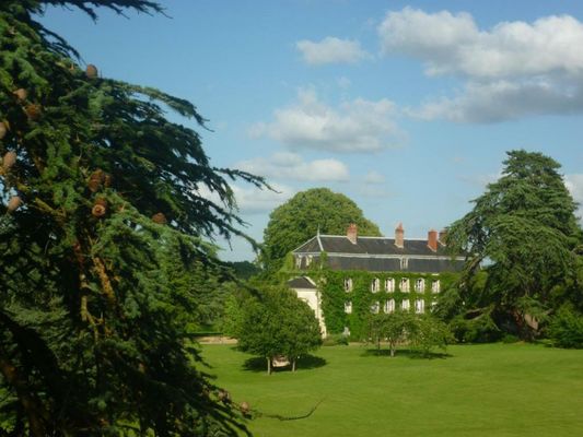 Bed and Breakfast - Château du Vau
