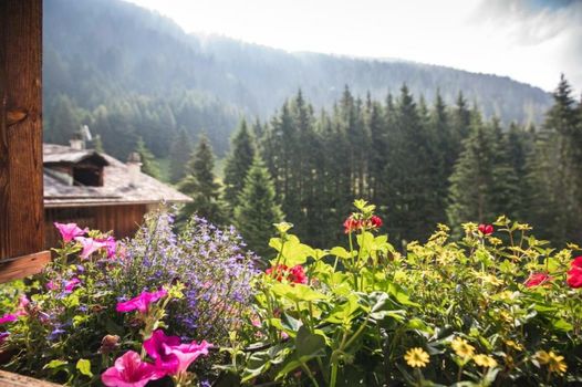 Hotel Chalet Alpenrose Bio Wellness Naturaktivhotel