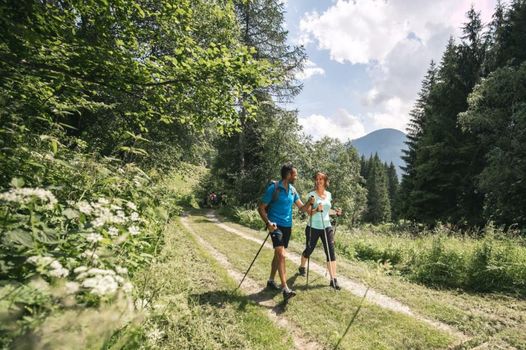 Hotel Chalet Alpenrose Bio Wellness Naturaktivhotel
