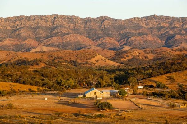 Arkaba Homestead