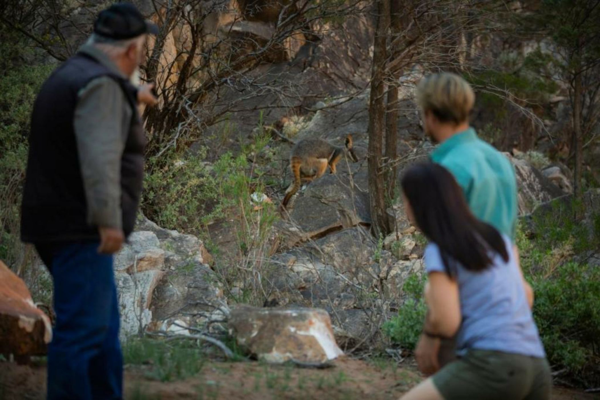 Discovery Resorts - Wilpena Pound