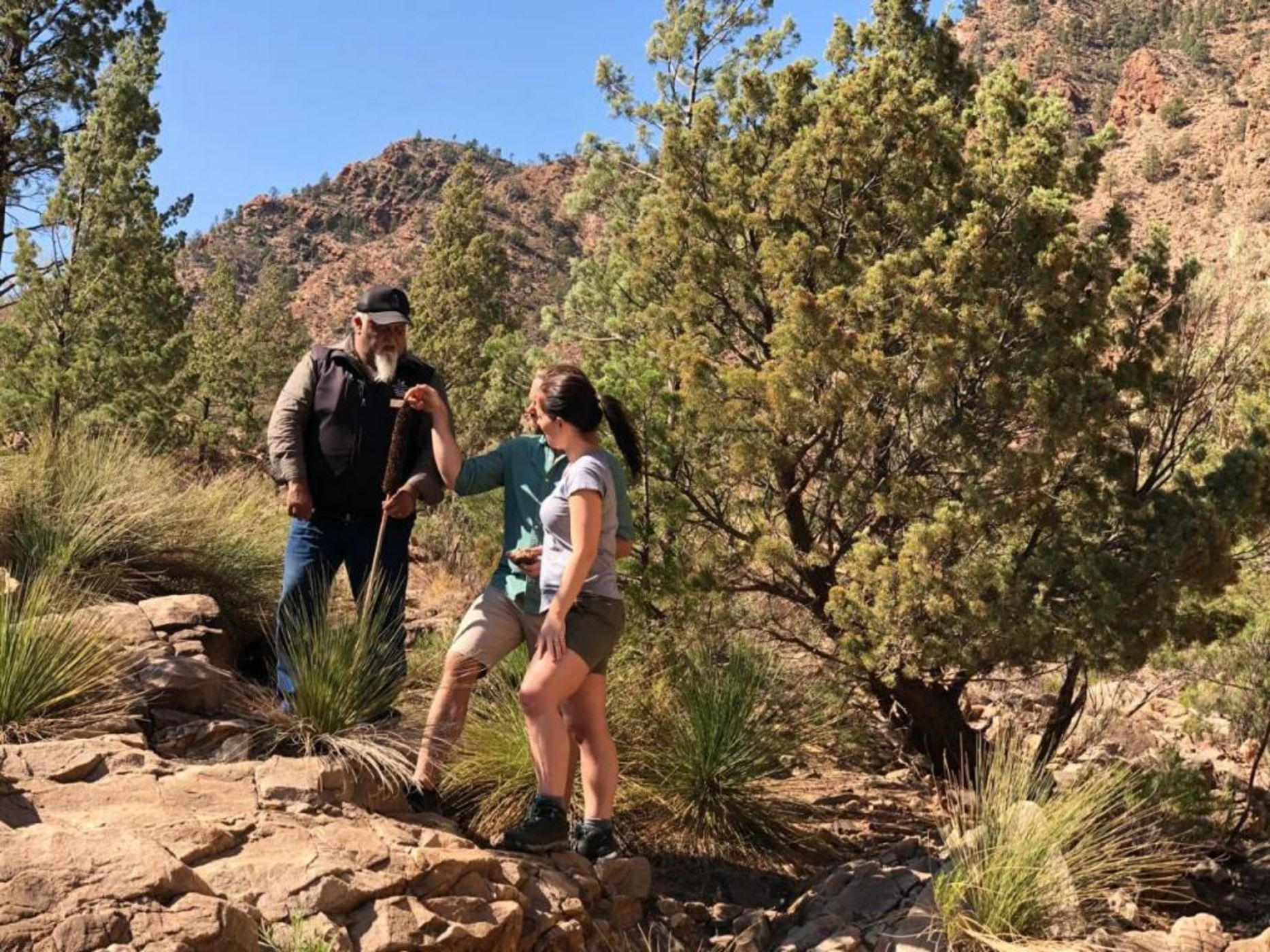 Discovery Resorts - Wilpena Pound