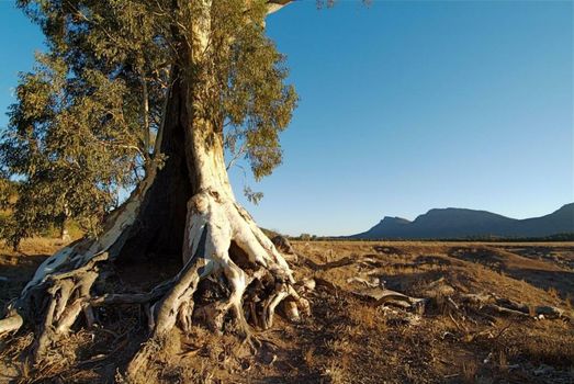 Discovery Resorts - Wilpena Pound