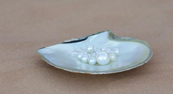 Cygnet Bay Pearl Farm