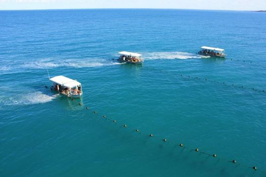 Cygnet Bay Pearl Farm