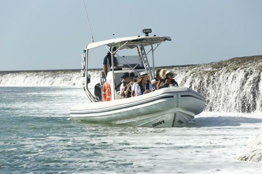 Cygnet Bay Pearl Farm