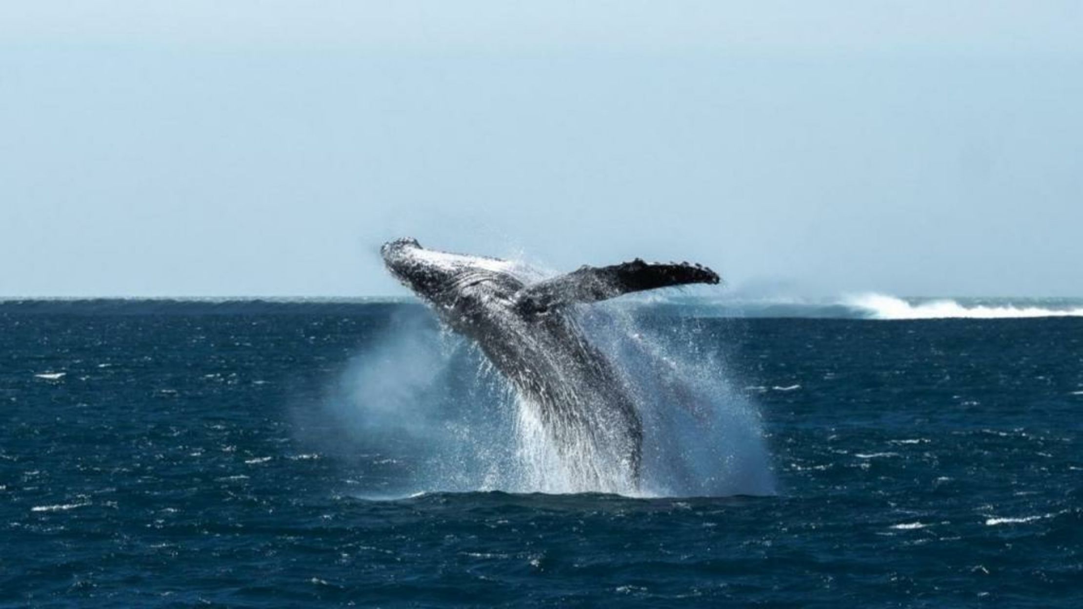 Sal Salis Ningaloo Reef