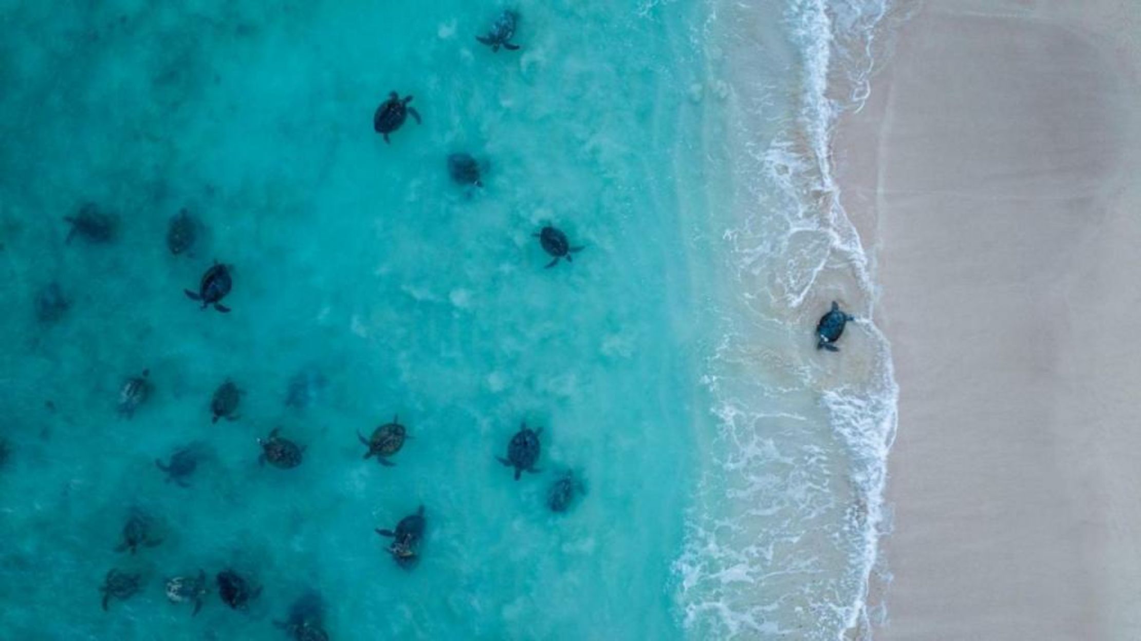 Sal Salis Ningaloo Reef