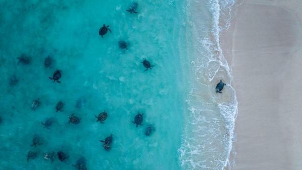 Sal Salis Ningaloo Reef