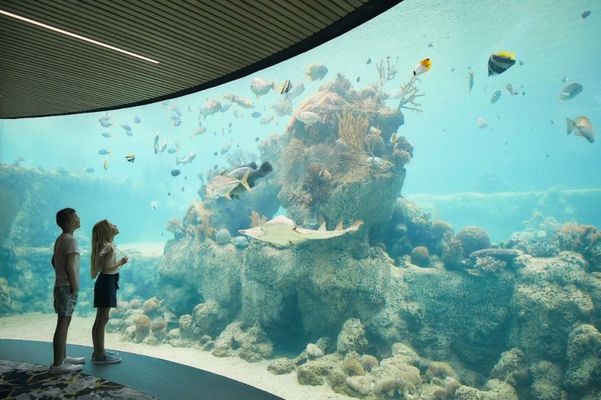 Daydream Island Resort