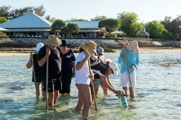 Heron Island