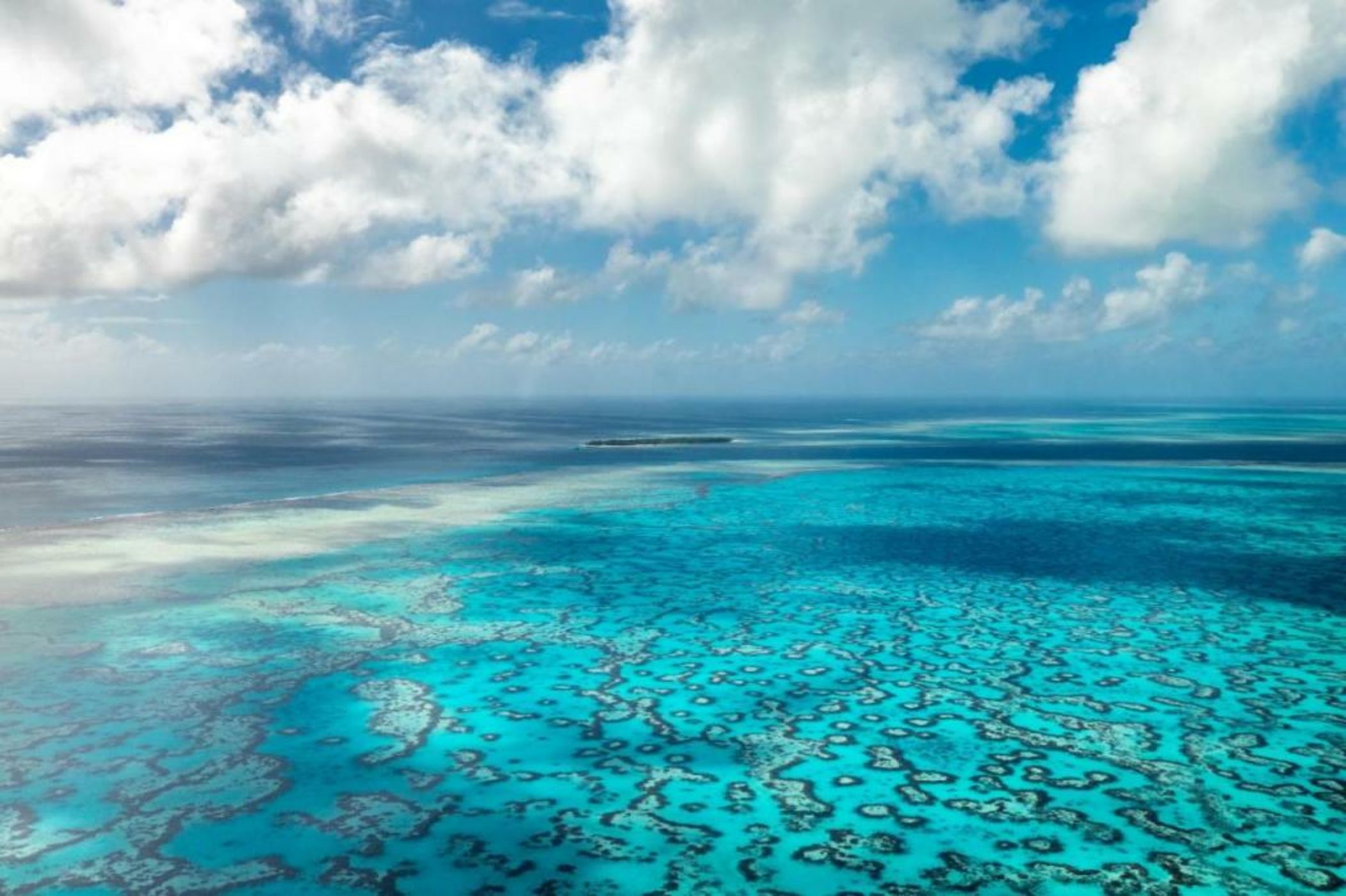 Heron Island