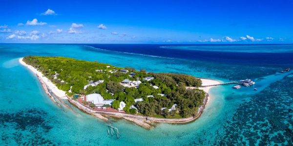 Heron Island