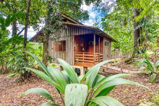 Selva Bananito Lodge