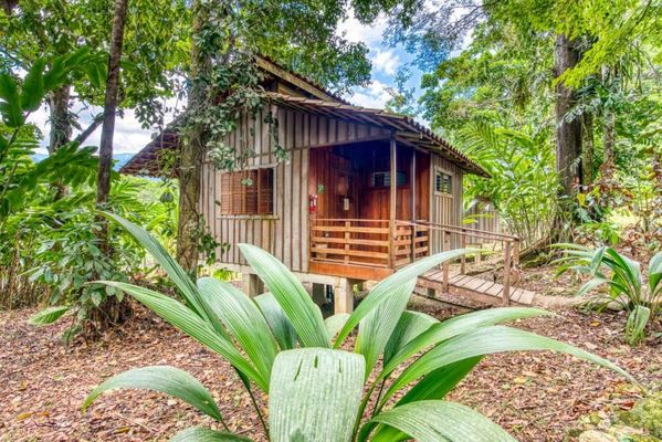 Selva Bananito Lodge