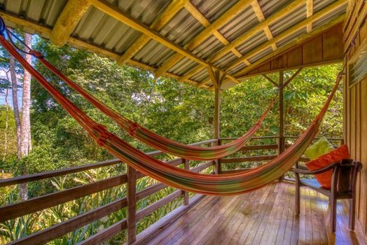 Selva Bananito Lodge