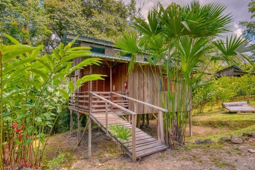 Selva Bananito Lodge