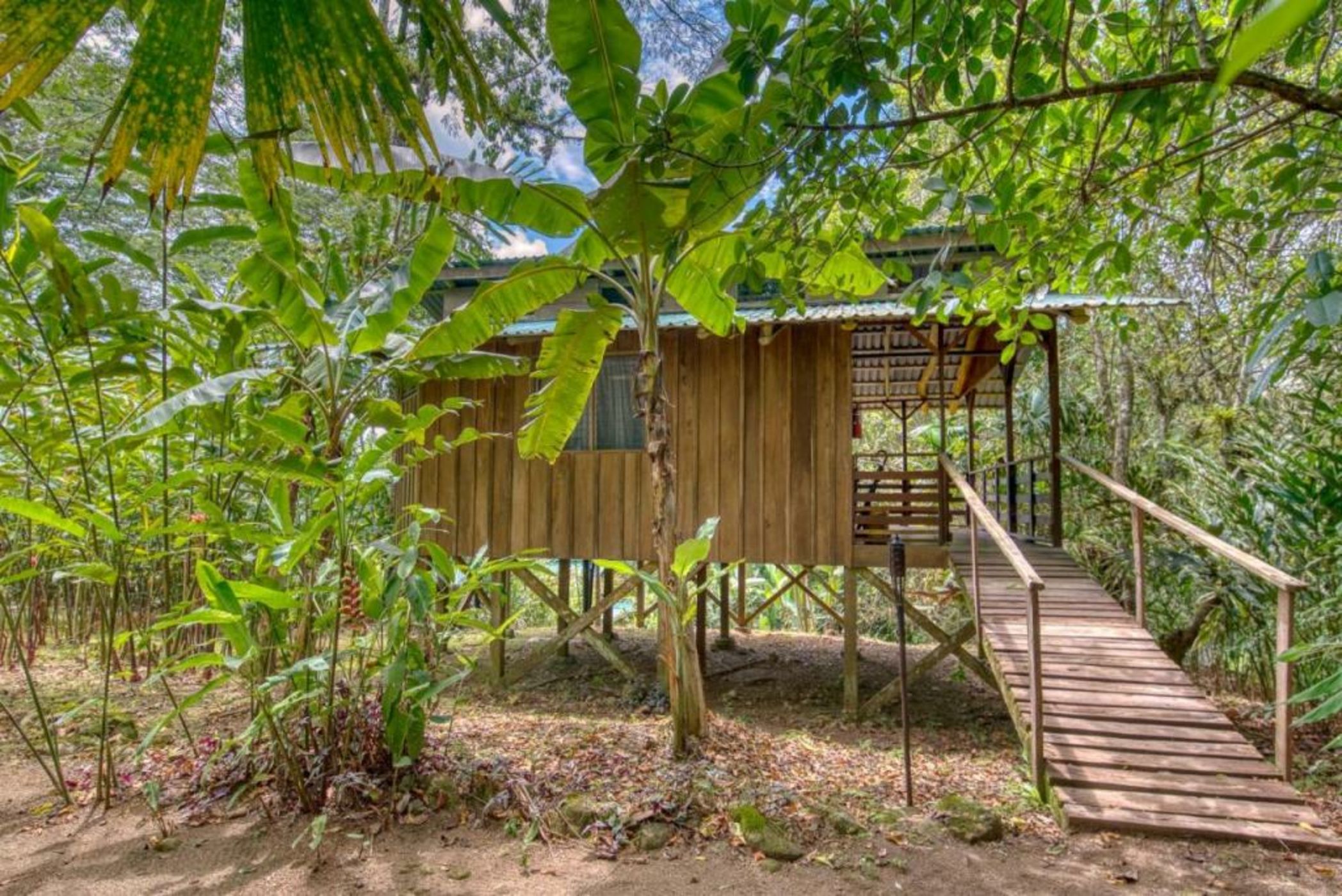 Selva Bananito Lodge