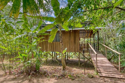 Selva Bananito Lodge