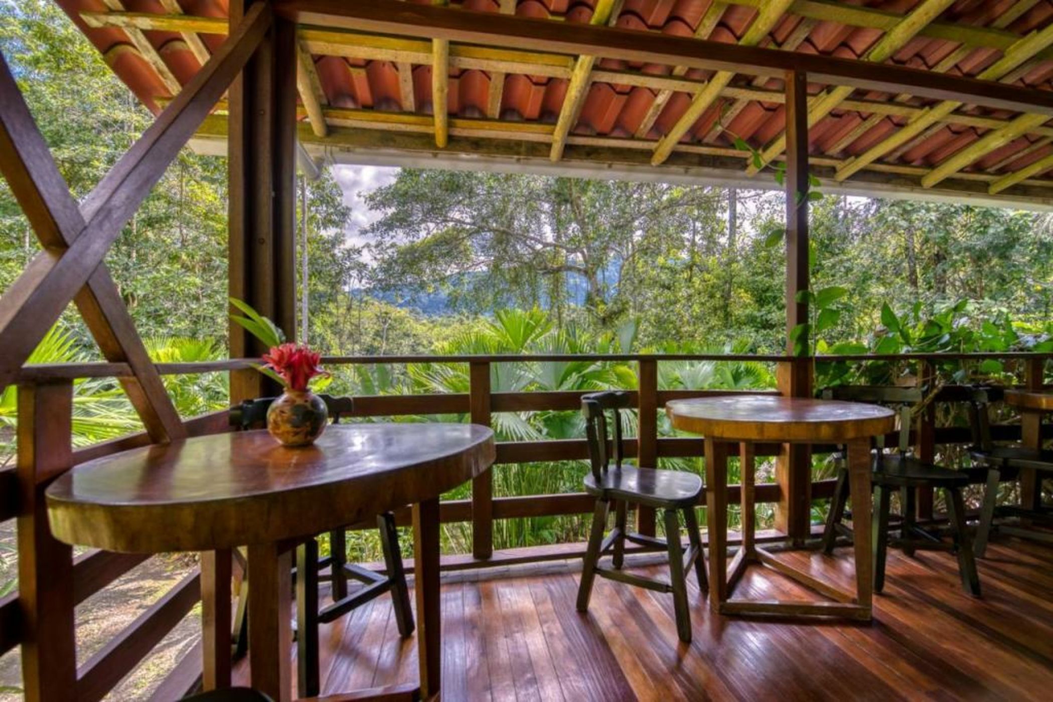 Selva Bananito Lodge