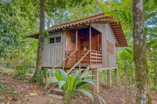 Selva Bananito Lodge