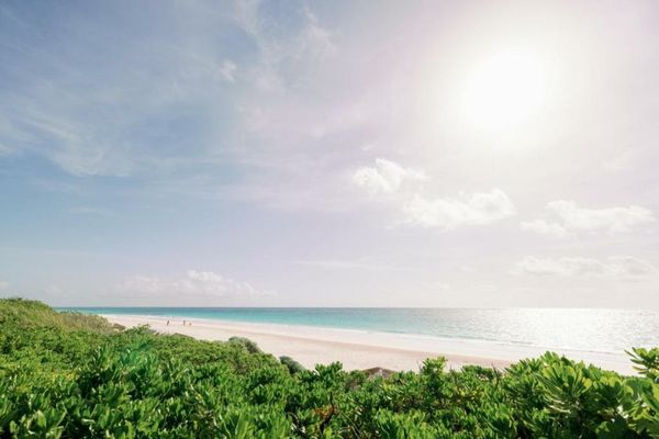 Pink Sands Resort