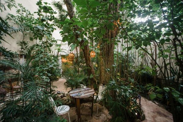 Hotel La Semilla a Member of Design Hotels
