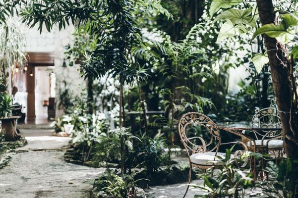 Hotel La Semilla a Member of Design Hotels