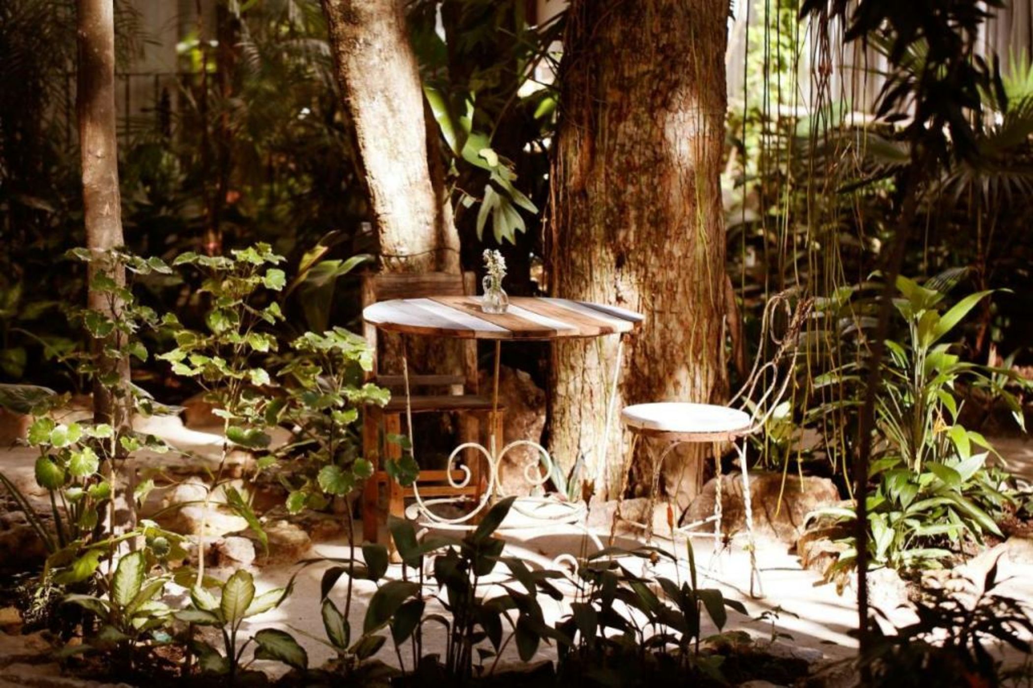 Hotel La Semilla - Adults Only