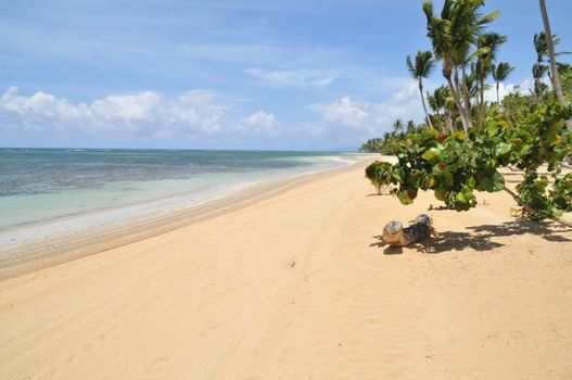 Xeliter Balcones del Atlantico - Las Terrenas