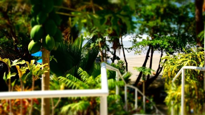 Bacolet Beach Club