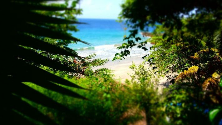 Bacolet Beach Club
