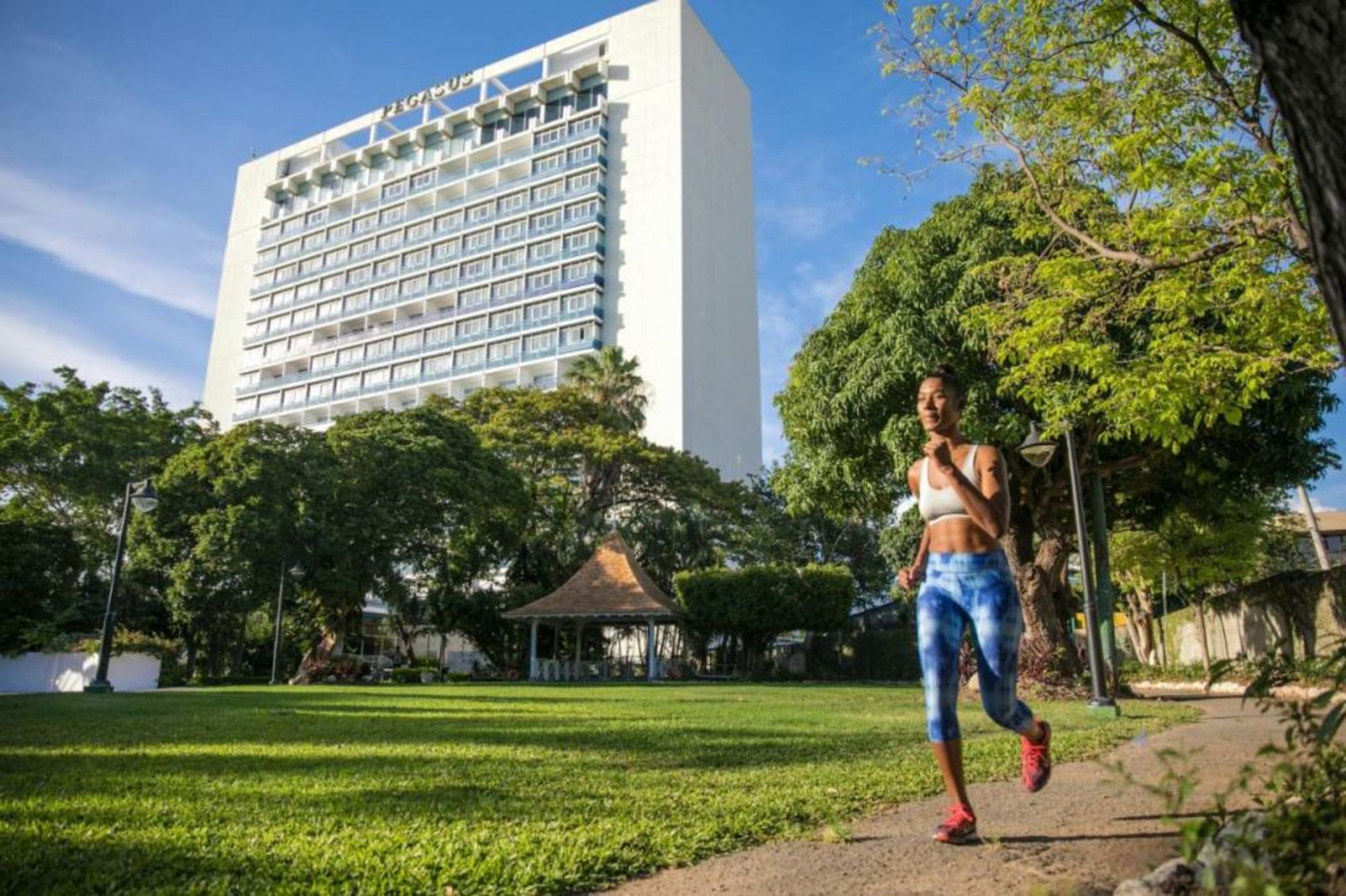 The Jamaica Pegasus Hotel