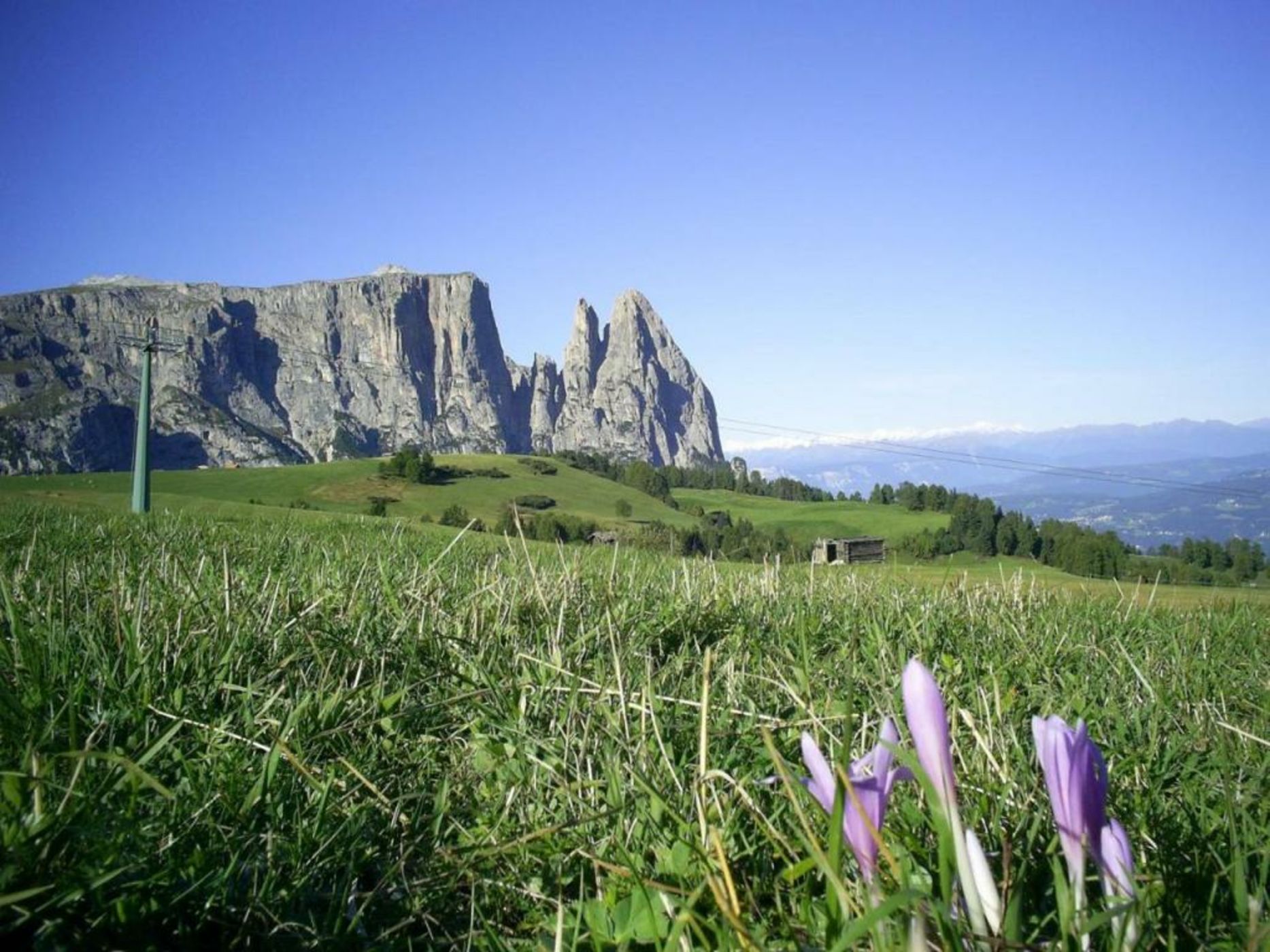 Seiser Alm Urthaler