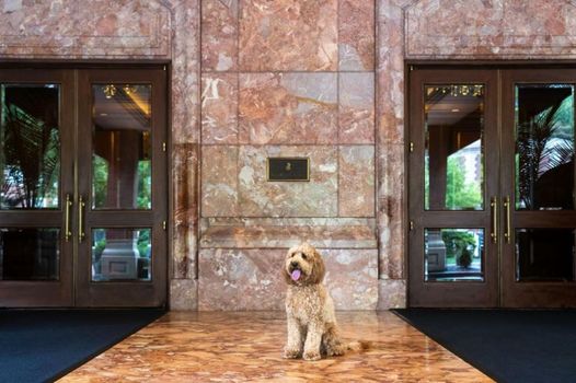 The Ritz-Carlton, St. Louis