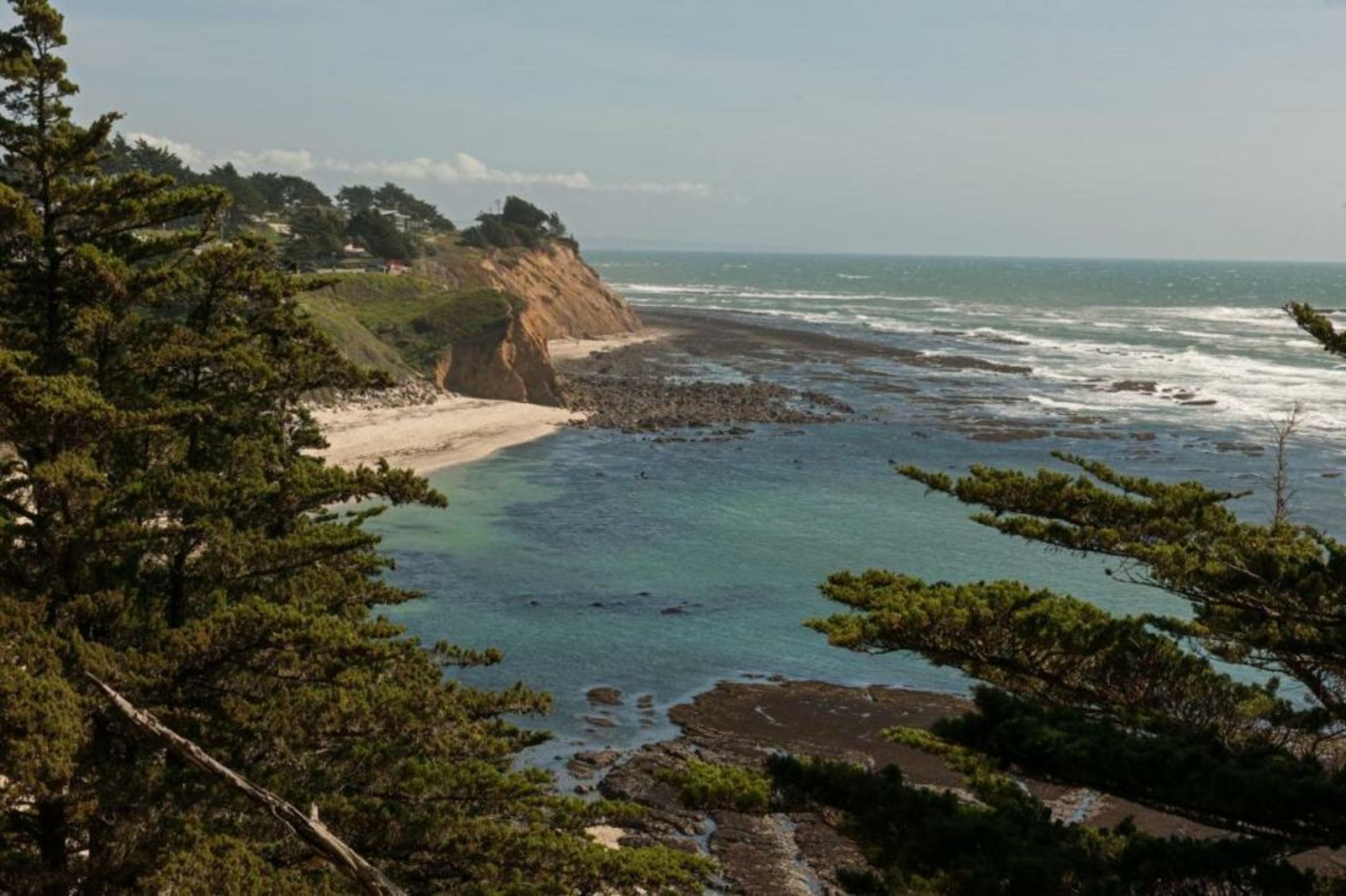 Seal Cove Inn