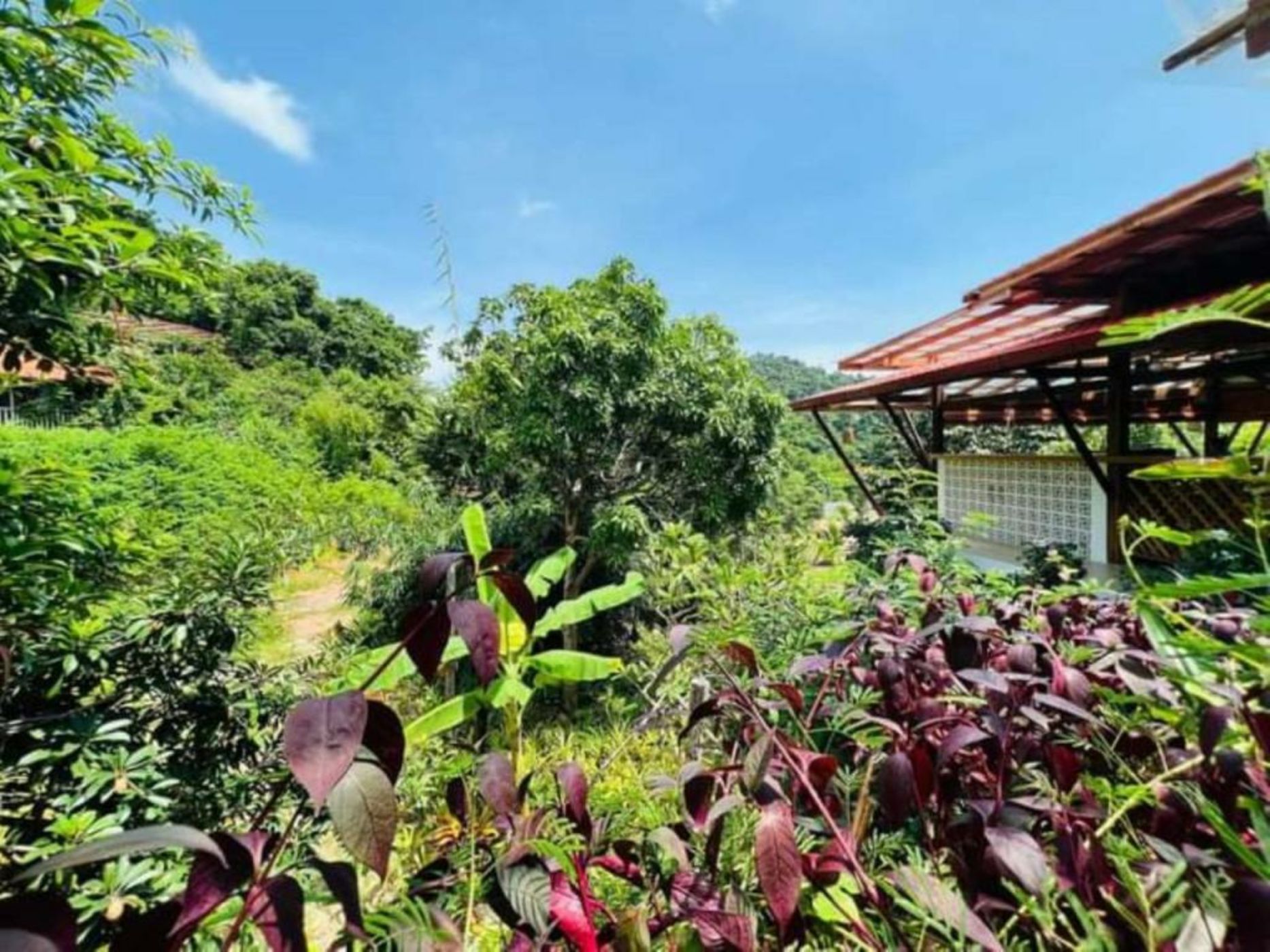 Veranda Natural Resort
