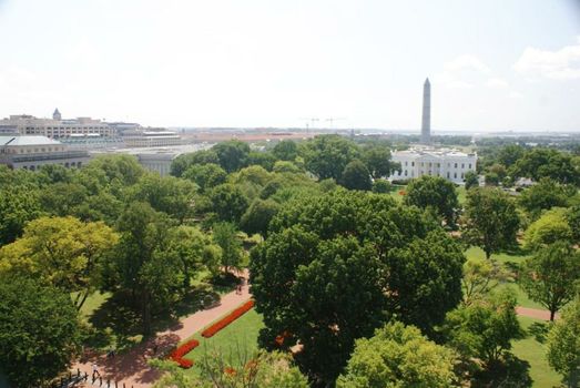 The Hay - Adams