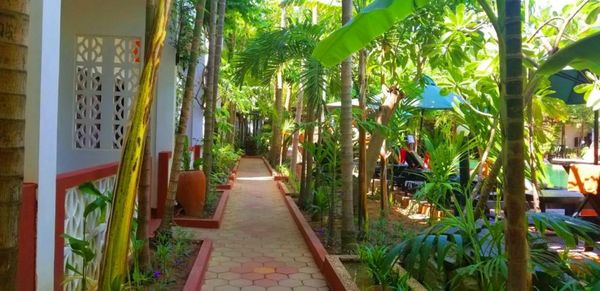 La Niche D'angkor Boutique Hotel