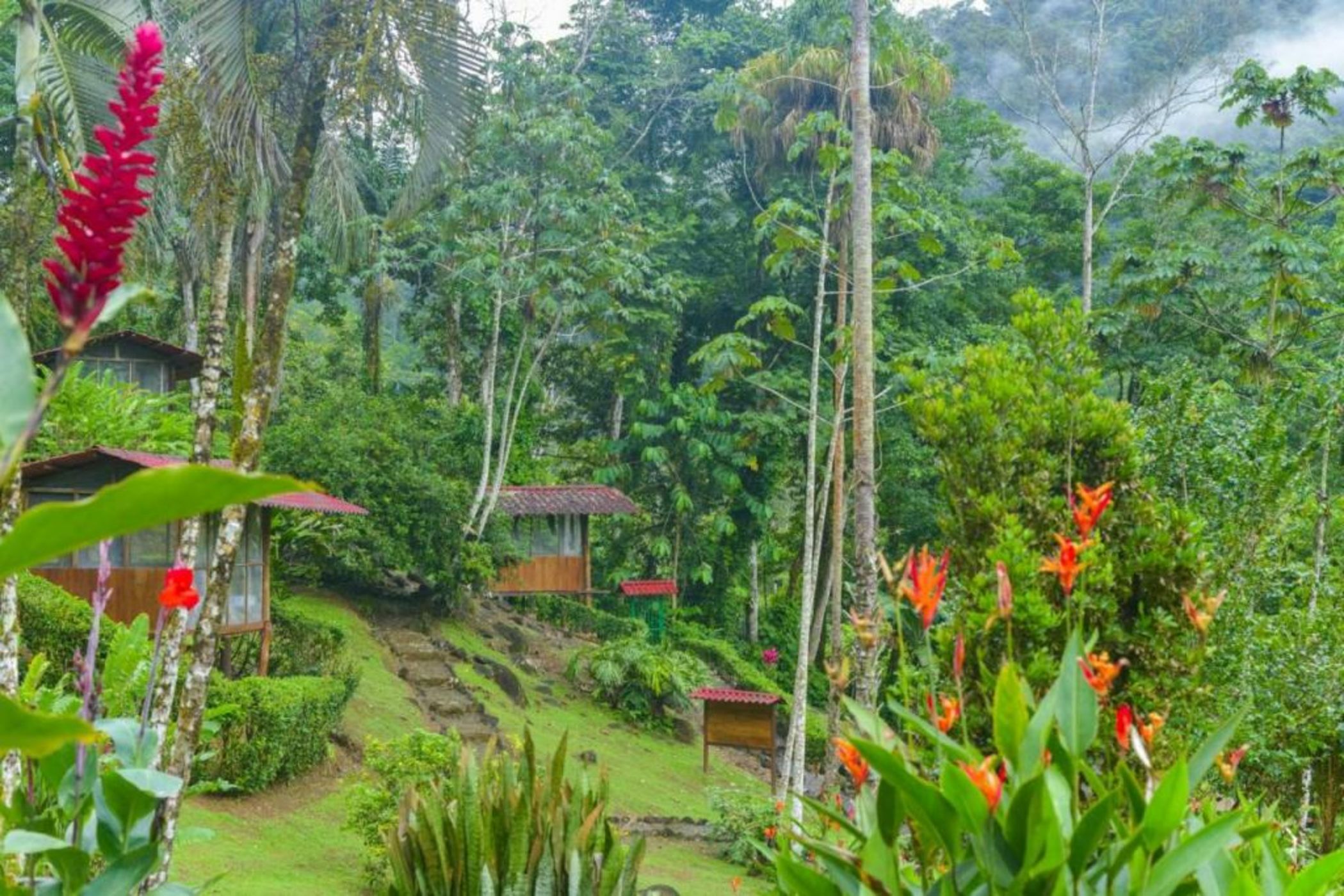Pacuare River Lodge