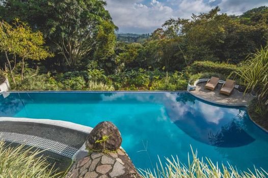 Finca Rosa Blanca Coffee Farm and Inn