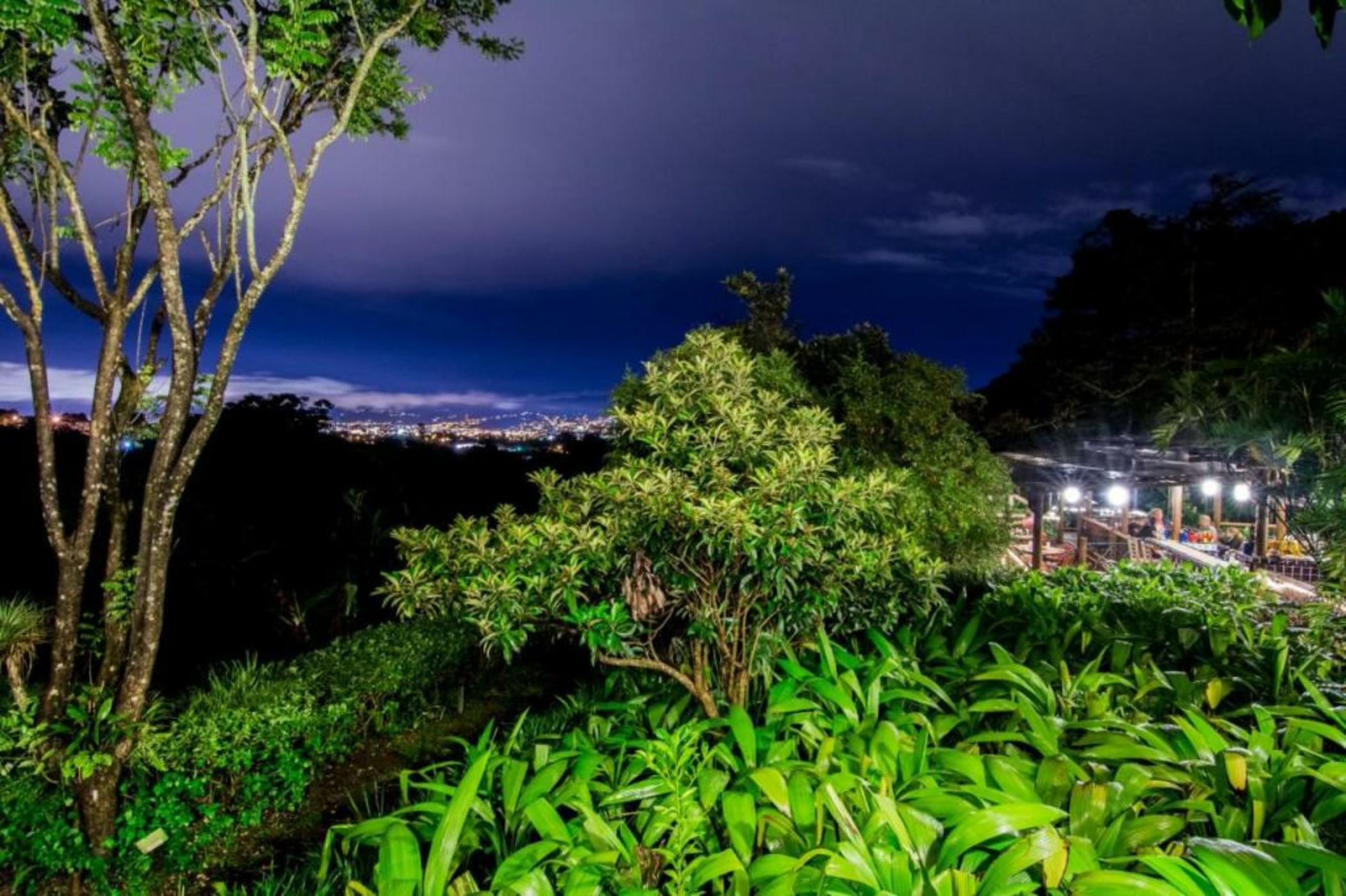 Finca Rosa Blanca Coffee Farm and Inn